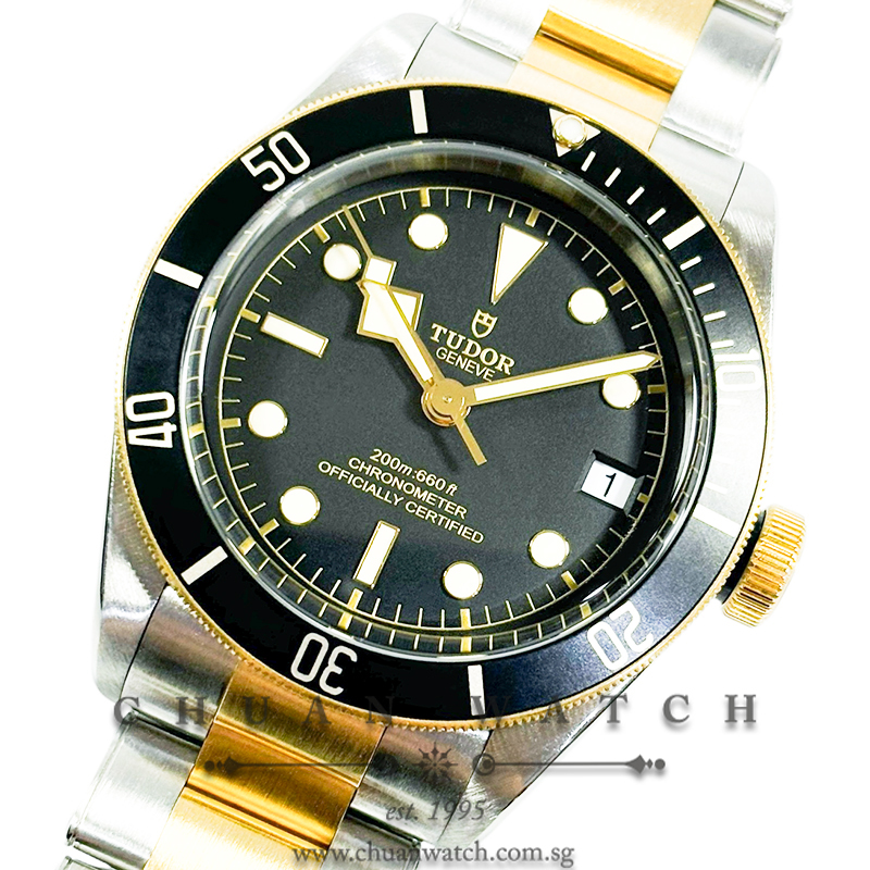 Tudor Black Bay S&G Two-Tone 41mm 79733N Black