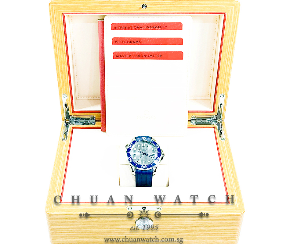 Omega Seamaster Diver 300M Co-Axial Master Chronometer 42mm 210.32.42.20.06.001 Grey - Image 4