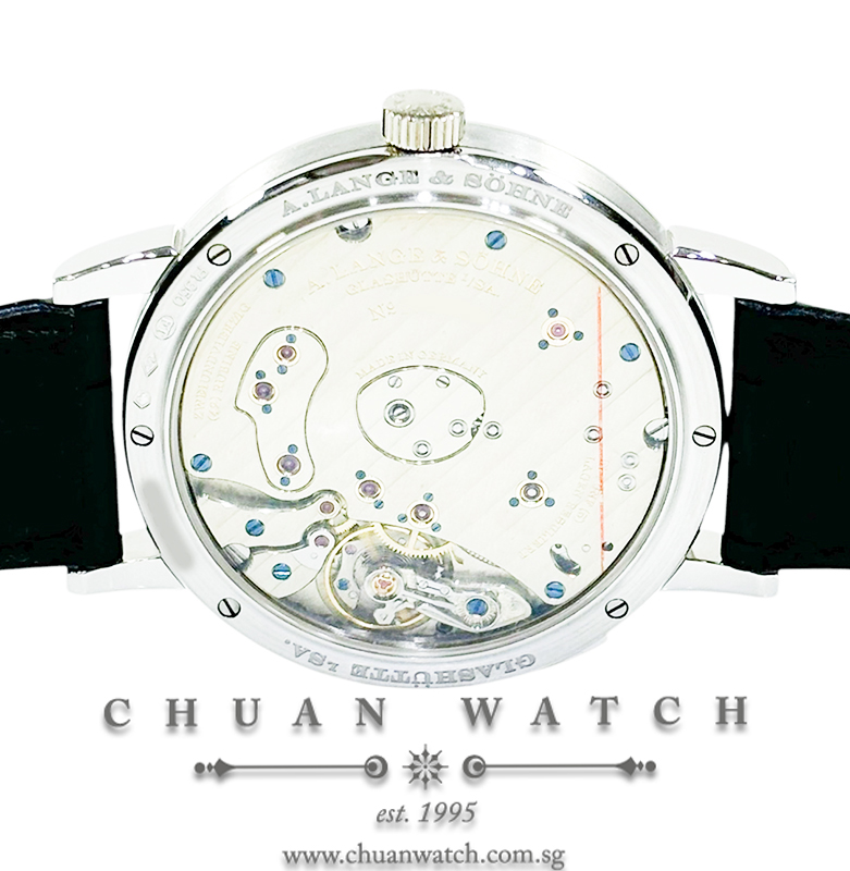 A. Lange & Sohne Grand Lange 1 Platinum 40.9mm 117.025 - Discontinued - Image 2