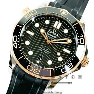 Omega Seamaster Diver 300M Co-Axial Master Chronometer Two-Tone 42mm 210.22.42.20.01.002 Black