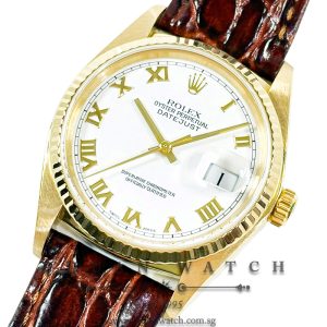 Rolex Gents' DateJust Yellow Gold 36mm 16018 White Roman - Discontinued