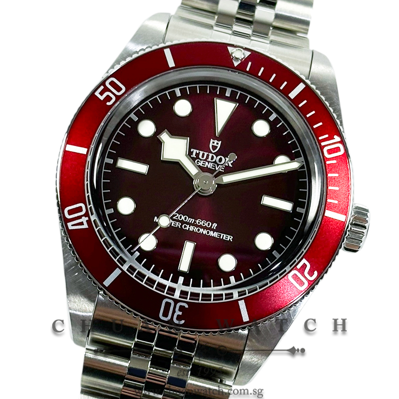 Tudor Black Bay 58 Burgundy Jubilee 39mm 7939A1A0RU