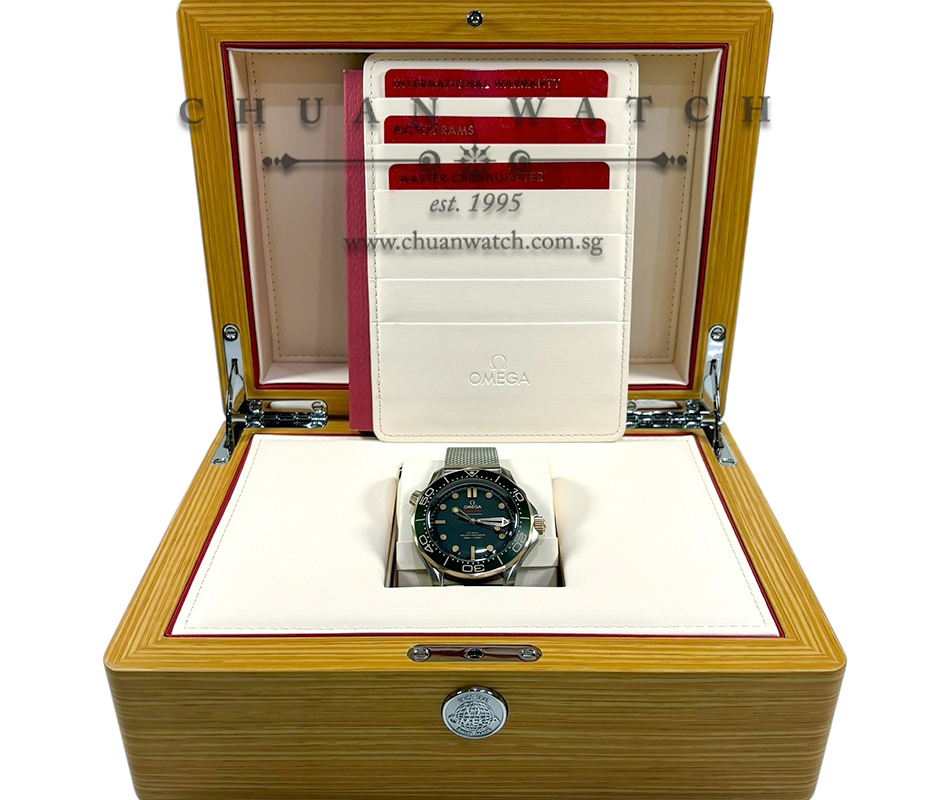 Omega Seamaster Diver 300M Titanium Bronze Gold Co-Axial Master Chronometer 42mm 210.90.42.20.10.001 Green - Image 2