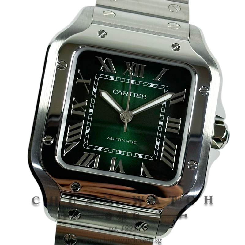 Cartier Santos de Cartier Medium WSSA0061 Green