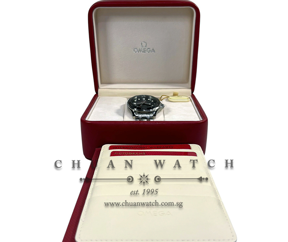Omega Seamaster Diver 300M Co-Axial Chronometer 41mm 212.30.41.20.01.003 Black - Discontinued - Image 2