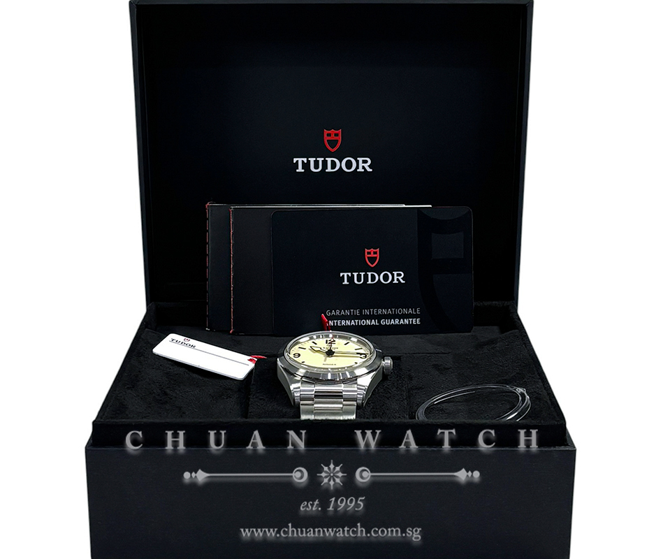 Tudor Ranger 39mm 79950 Beige - Image 2