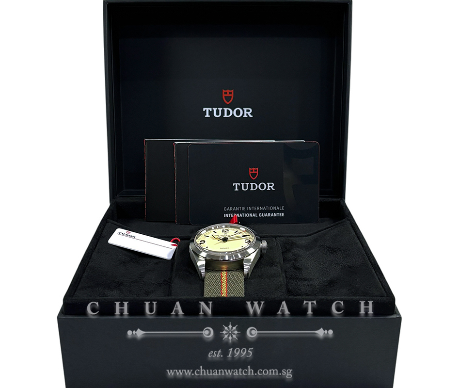 Tudor Ranger 39mm 79950 Beige - Image 2